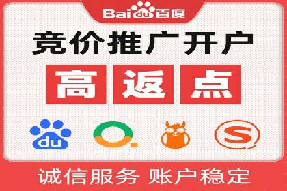 案例解析：揭秘高效竞价推广技巧